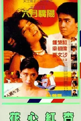 free性护士vidos中国