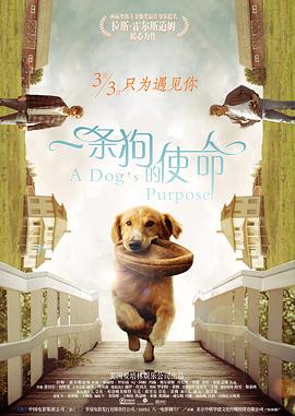 成人在线视频免费观看