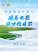 久久99精品久久久久久综合