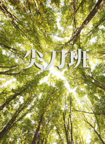 丁香婷婷网